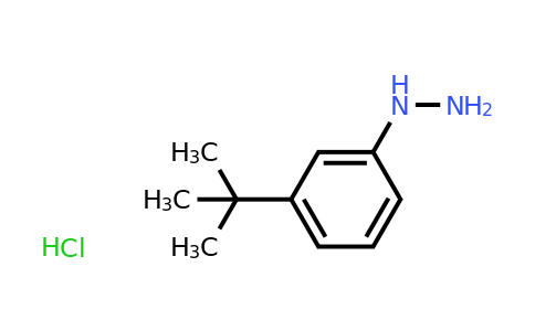 CAS 306937-27-9 | (3-(tert-Butyl)phenyl)hydrazine hydrochloride