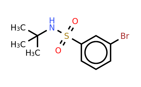 CAS 308283-47-8 | 3-Bromo-N-(tert-butyl)benzenesulphonamide