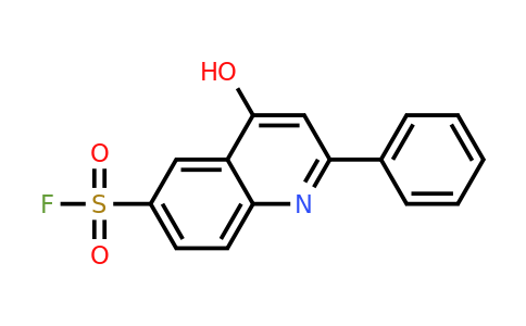 CAS 31241-71-1 | 4-Hydroxy-2-phenylquinoline-6-sulfonyl fluoride