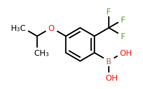 CAS 313545-40-3 | 4-Isopropoxy-2-(trifluoromethyl)phenylboronic acid