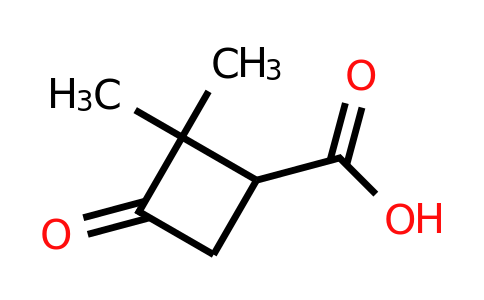 CAS 3183-43-5 | 2,2-dimethyl-3-oxocyclobutane-1-carboxylic acid