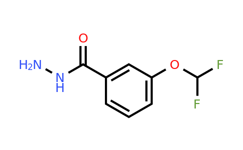 CAS 321196-03-6 | 3-(Difluoromethoxy)benzohydrazide