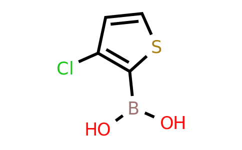 CAS 324024-80-8 | 3-Chlorothiophene-2-boronic acid