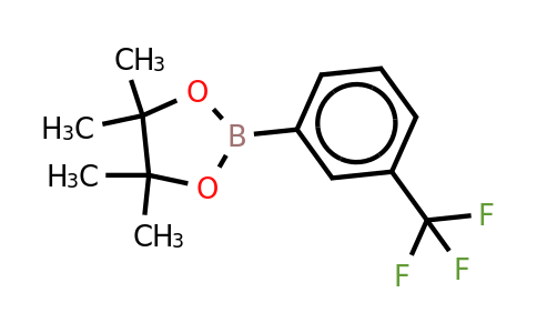 CAS 325142-82-3 | 3-Trifluoromethylphenylboronic acid, pinacol ester