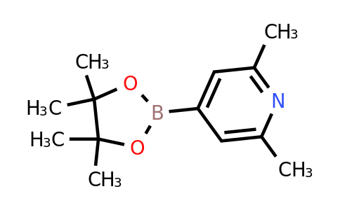 CAS 325142-95-8 | 2,6-Dimethyl-4-(4,4,5,5-tetramethyl-1,3,2-dioxaborolan-2-YL)pyridine