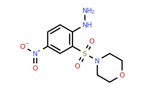 CAS 328028-49-5 | 4-(2-hydrazinyl-5-nitrobenzenesulfonyl)morpholine