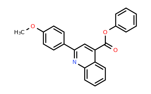 CAS 329204-09-3 | Phenyl 2-(4-methoxyphenyl)quinoline-4-carboxylate