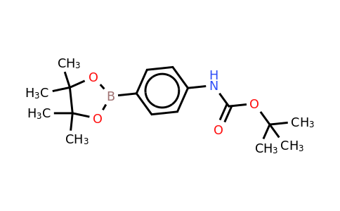 CAS 330793-01-6 | 4-(N-BOC-Amino)phenylboronic acid pinacol ester