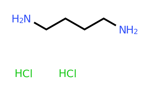 CAS 333-93-7 | 1,4-Diaminobutane dihydrochloride