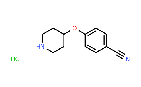 CAS 333954-90-8 | 4-(Piperidin-4-yloxy)benzonitrile hydrochloride