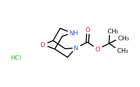 CAS 335621-00-6 | tert-butyl 9-oxa-3,7-diazabicyclo[3.3.1]nonane-3-carboxylate hydrochloride