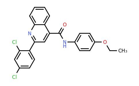 CAS 337501-85-6 | 2-(2,4-Dichlorophenyl)-N-(4-ethoxyphenyl)quinoline-4-carboxamide