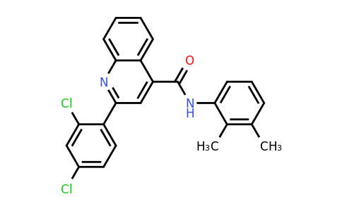 CAS 337501-97-0 | 2-(2,4-Dichlorophenyl)-N-(2,3-dimethylphenyl)quinoline-4-carboxamide