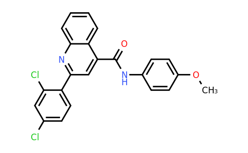 CAS 337502-14-4 | 2-(2,4-Dichlorophenyl)-N-(4-methoxyphenyl)quinoline-4-carboxamide