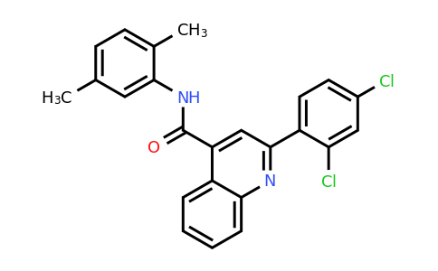 CAS 337502-56-4 | 2-(2,4-Dichlorophenyl)-N-(2,5-dimethylphenyl)quinoline-4-carboxamide
