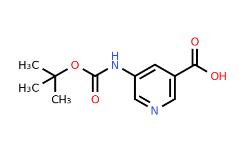 CAS 337904-92-4 | 5-[(Tert-butoxycarbonyl)amino]nicotinic acid
