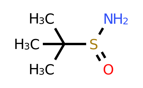 CAS 343338-28-3 | 2-Methyl-2-propanesulfinamide