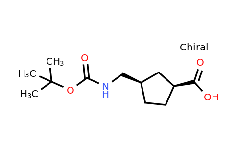 CAS 347184-41-2 | cis-3-[(tert-butoxycarbonylamino)methyl]cyclopentanecarboxylic acid