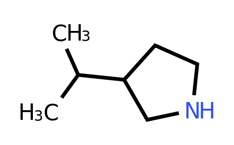 CAS 34971-73-8 | 3-(propan-2-yl)pyrrolidine