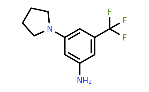 CAS 350488-43-6 | 3-(pyrrolidin-1-yl)-5-(trifluoromethyl)aniline