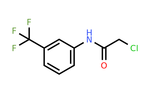 CAS 351-38-2 | 2-Chloro-N-(3-(trifluoromethyl)phenyl)acetamide