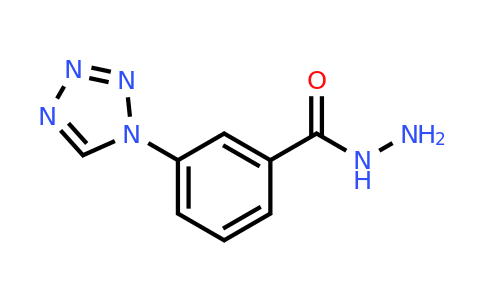 CAS 351994-81-5 | 3-(1H-Tetrazol-1-yl)benzohydrazide