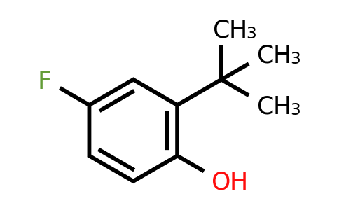 CAS 357611-22-4 | 2-Tert-butyl-4-fluorophenol