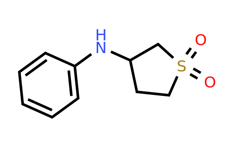 CAS 35889-69-1 | 3-(phenylamino)-1lambda6-thiolane-1,1-dione