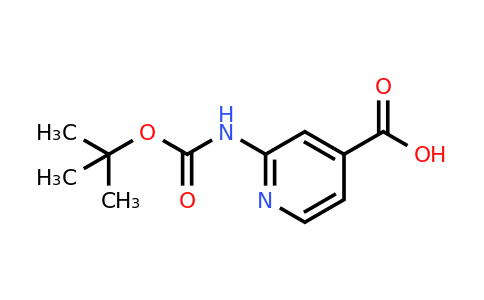 CAS 365412-92-6 | 2-(Tert-butoxycarbonylamino)isonicotinic acid