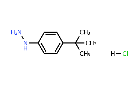 CAS 36600-66-5 | (4-(tert-Butyl)phenyl)hydrazine hydrochloride(1:x)