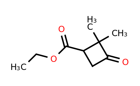 CAS 36611-75-3 | ethyl 2,2-dimethyl-3-oxocyclobutane-1-carboxylate