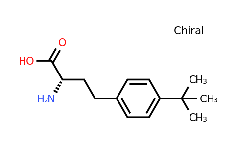 CAS 368875-98-3 | (S)-2-Amino-4-(4-tert-butyl-phenyl)-butyric acid