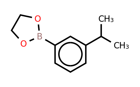 CAS 374537-96-9 | 3-Isopropylbenzeneboronic acid ethylene glycol ester