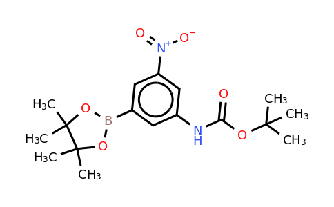 CAS 374595-05-8 | (3-BOC-Amino-5-nitrophenyl)boronic acid pinacol ester