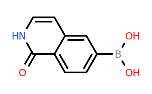 CAS 376584-82-6 | 1-Oxo-1,2-dihydroisoquinolin-6-ylboronic acid