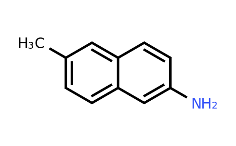 CAS 37796-79-5 | 6-Methylnaphthalen-2-amine