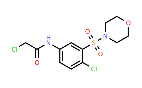 CAS 379254-82-7 | 2-chloro-N-[4-chloro-3-(morpholine-4-sulfonyl)phenyl]acetamide
