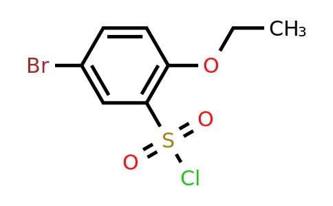 CAS 379255-01-3 | 5-bromo-2-ethoxybenzene-1-sulfonyl chloride