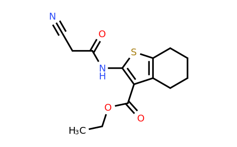CAS 380467-91-4 | ethyl 2-(2-cyanoacetamido)-4,5,6,7-tetrahydro-1-benzothiophene-3-carboxylate