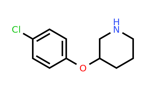CAS 384346-27-4 | 3-(4-chlorophenoxy)piperidine