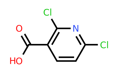 CAS 38496-18-3 | 2,6-Dichloronicotinic acid