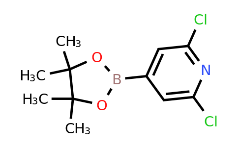 CAS 408492-27-3 | 2,6-Dichloro-4-(4,4,5,5-tetramethyl-1,3,2-dioxaborolan-2-YL)pyridine