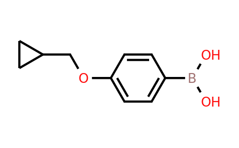CAS 411229-67-9 | 4-(Cyclopropylmethoxy)benzeneboronic acid