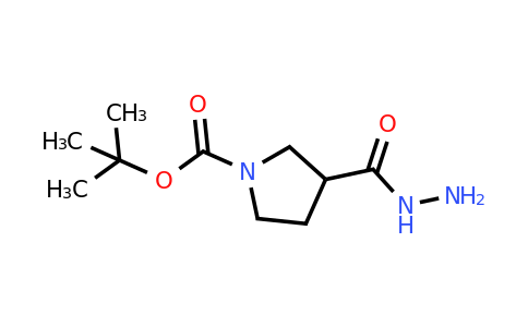 CAS 411238-88-5 | 3-Hydrazinocarbonyl-pyrrolidine-1-carboxylic acid tert-butyl ester