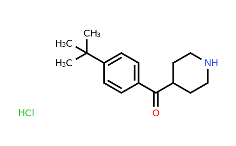 CAS 42060-78-6 | (4-Tert-butyl-phenyl)-piperidin-4-YL-methanone hydrochloride