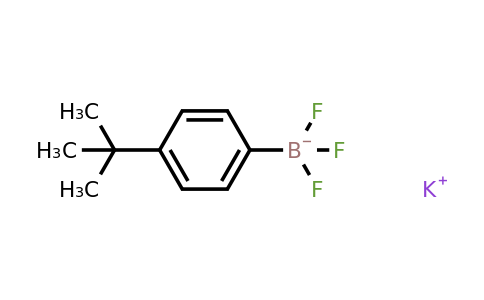 CAS 423118-47-2 | Potassium (4-tert-butylphenyl)trifluoroborate