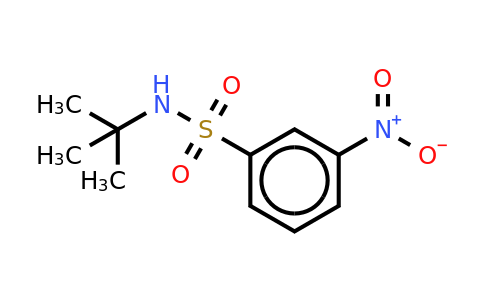 N-T-butyl 3-nitrobenzenesulfonamide