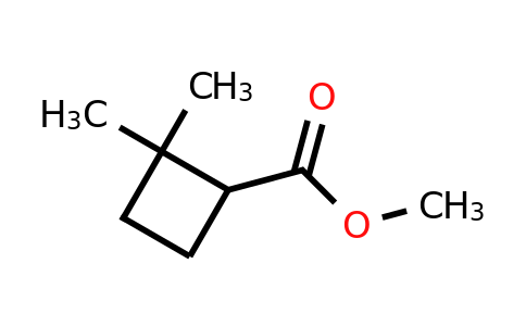 CAS 42836-65-7 | methyl 2,2-dimethylcyclobutane-1-carboxylate