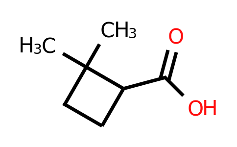 CAS 42836-66-8 | 2,2-dimethylcyclobutane-1-carboxylic acid