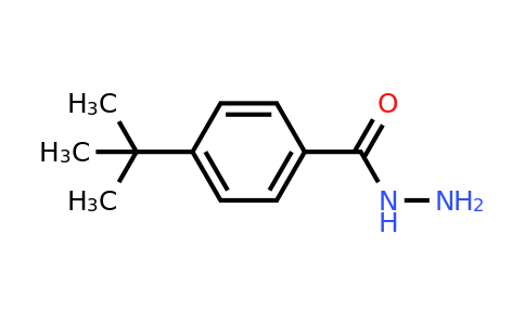 CAS 43100-38-5 | 4-(tert-Butyl)benzohydrazide
